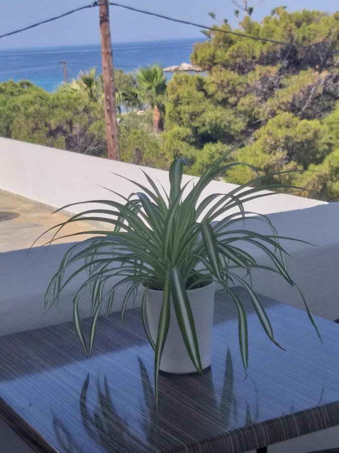 Meltemi Apartment Posidhonía Екстериор снимка